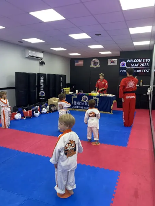 Champions Martial Arts Picture 8