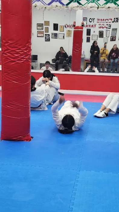 Edge Taekwondo Academy Picture 5