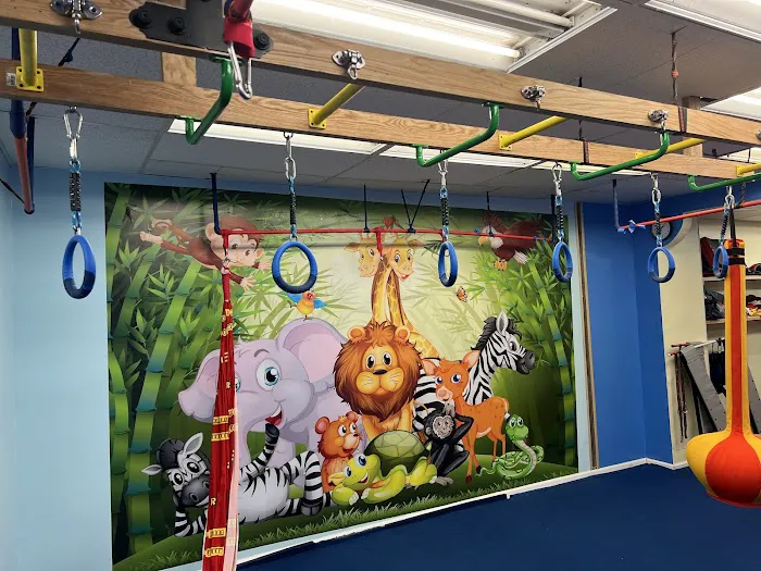 Sport LSP Ninja Warrior Picture 7