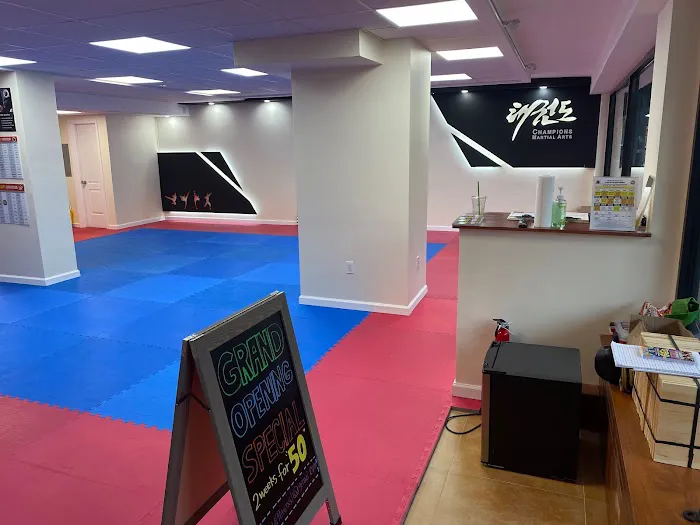 Champions Martial Arts Upper East Side Picture 2
