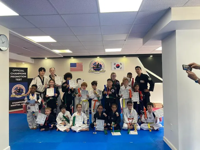 Champions Martial Arts Upper East Side Picture 4