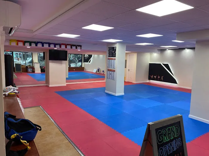 Champions Martial Arts Upper East Side Picture 7