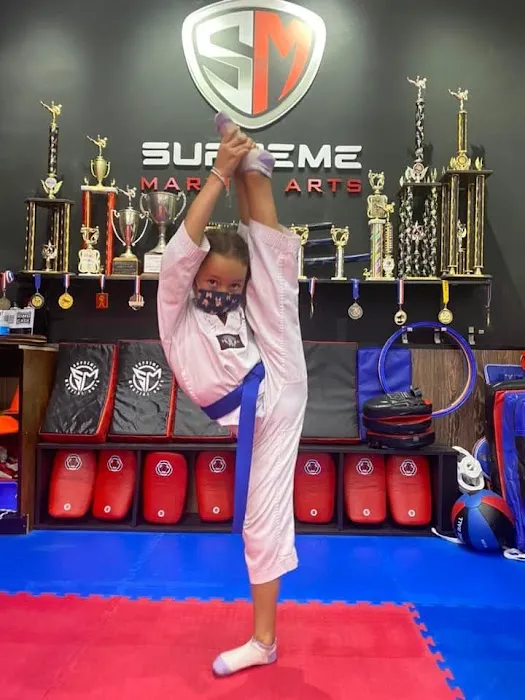 Supreme martial Arts Upper East Side Picture 1