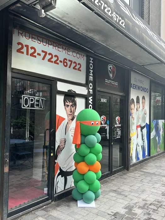 Supreme martial Arts Upper East Side Picture 4