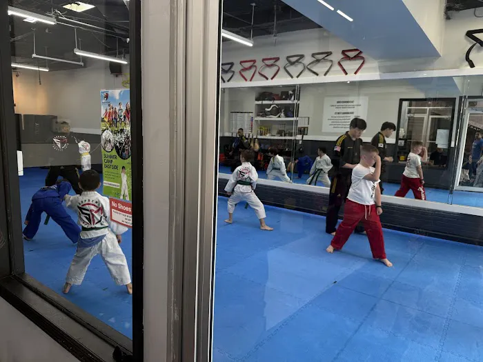 Supreme martial Arts Upper East Side Picture 2