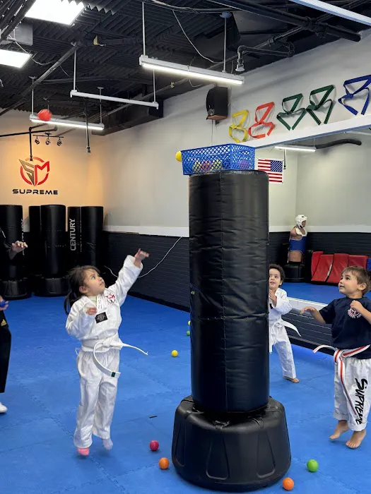 Supreme martial Arts Upper East Side Picture 6