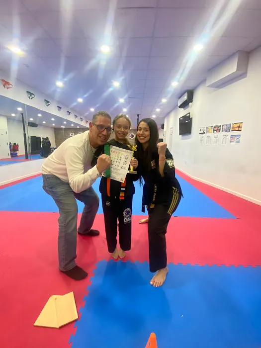 Champions Martial Arts Ridgewood Picture 10