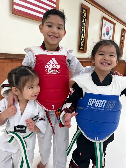 Spirit Taekwondo Ridgewood Picture 6