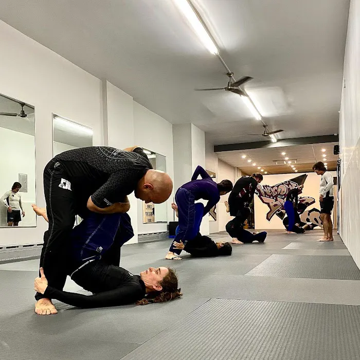 Windsor Terrace Martial Arts Picture 5