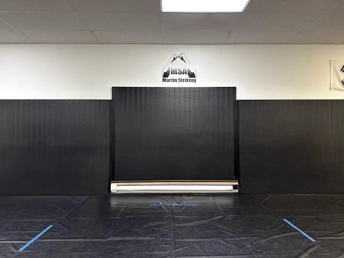 Martin Striking Academy Picture 1