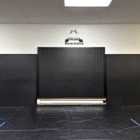 Martin Striking Academy ico