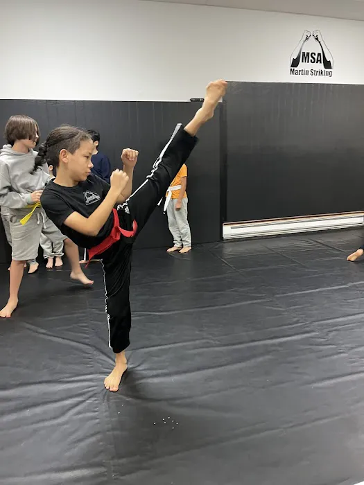 Martin Striking Academy Picture 5
