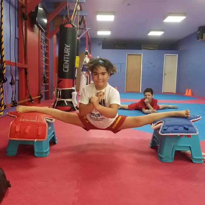 NY Warriors Taekwondo Picture 3