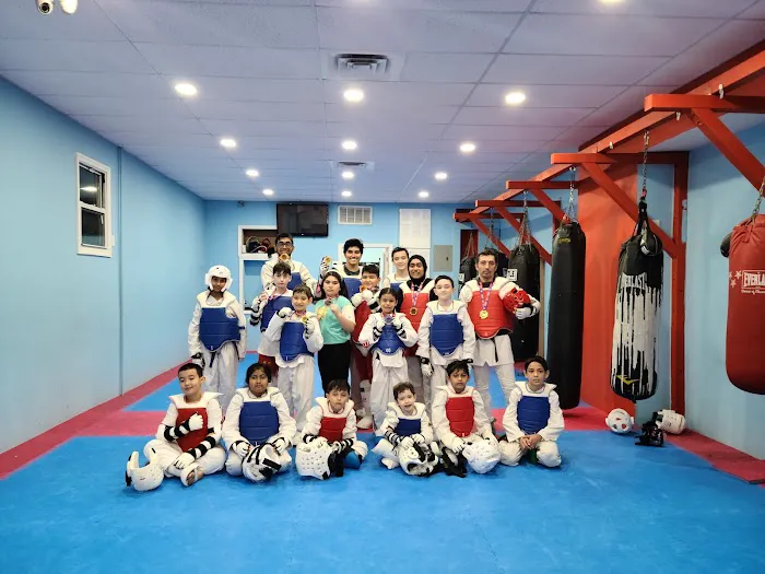 NY Warriors Taekwondo Picture 2