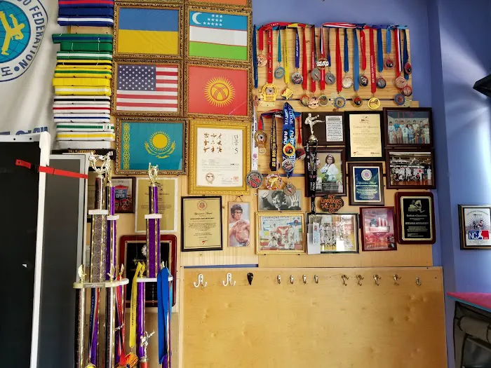 NY Warriors Taekwondo Picture 5