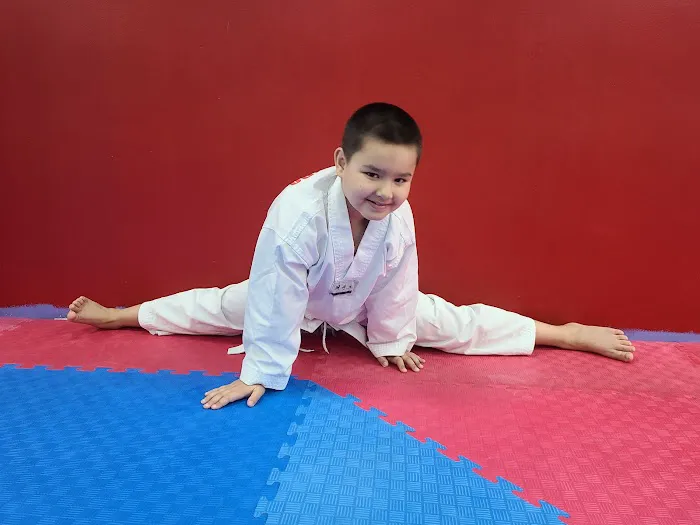 NY Warriors Taekwondo Picture 6