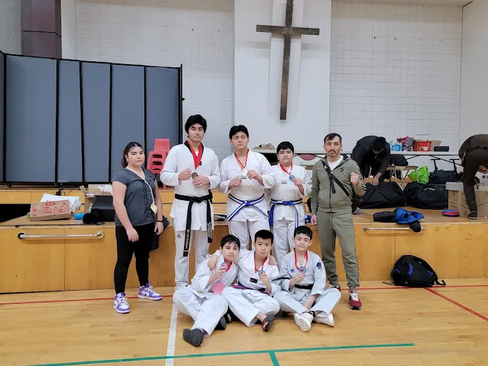 NY Warriors Taekwondo Picture 10