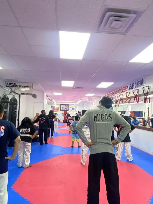Hugo's Taekwondo Glendale Picture 4
