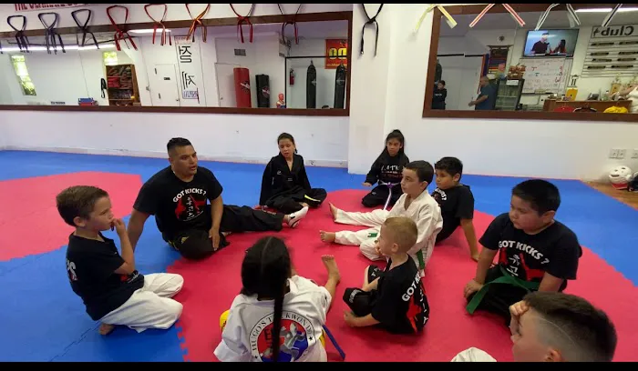 Hugo's Taekwondo Glendale Picture 7