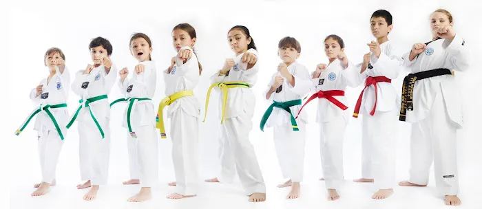 Central Park Taekwondo Picture 1
