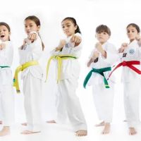 Central Park Taekwondo ico