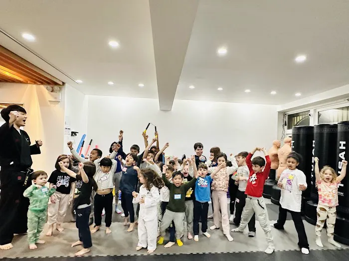 Ace Martial Arts - Upper East Side Picture 2