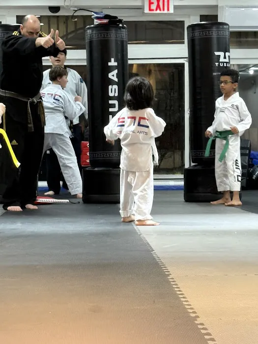Ace Martial Arts - Upper East Side Picture 1