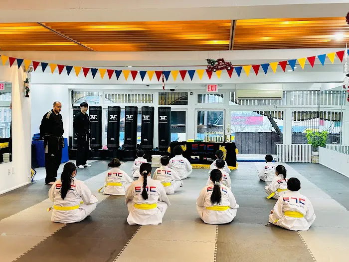 Ace Martial Arts - Upper East Side Picture 5