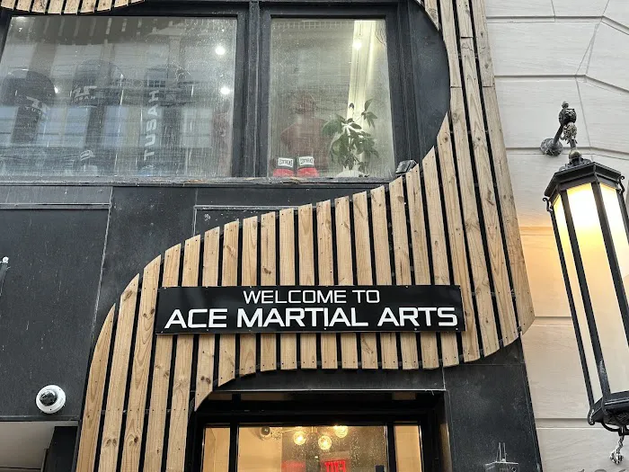 Ace Martial Arts - Upper East Side Picture 8