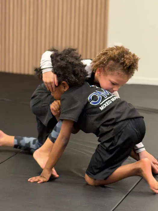 OMNE Martial Arts, Fitness & Wellness Picture 6