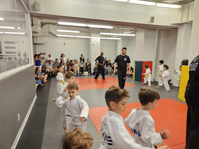 OMNE Martial Arts, Fitness & Wellness Picture 8