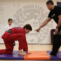 Pa Son Martial Arts ico