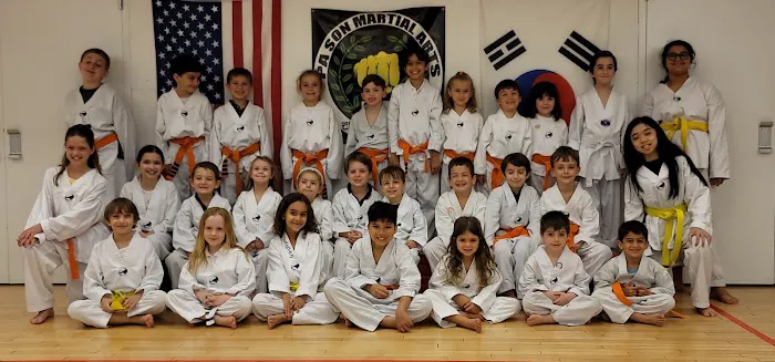 Pa Son Martial Arts Picture 2
