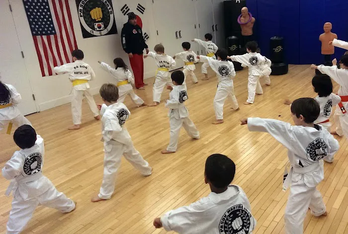 Pa Son Martial Arts Picture 10