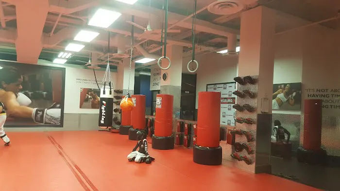 Tiger Schulmann's Martial Arts (Greenpoint, NY) Picture 4