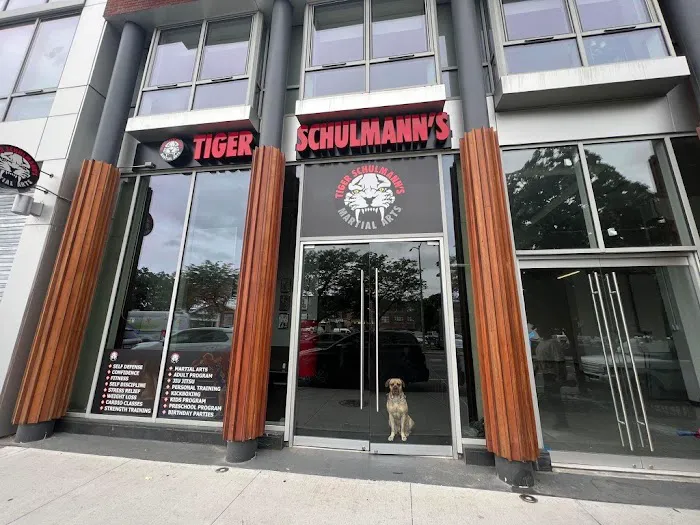 Tiger Schulmann's Martial Arts (Greenpoint, NY) Picture 3