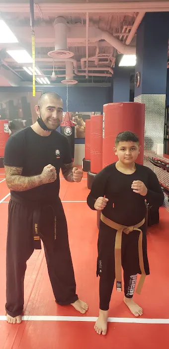 Tiger Schulmann's Martial Arts (Greenpoint, NY) Picture 1