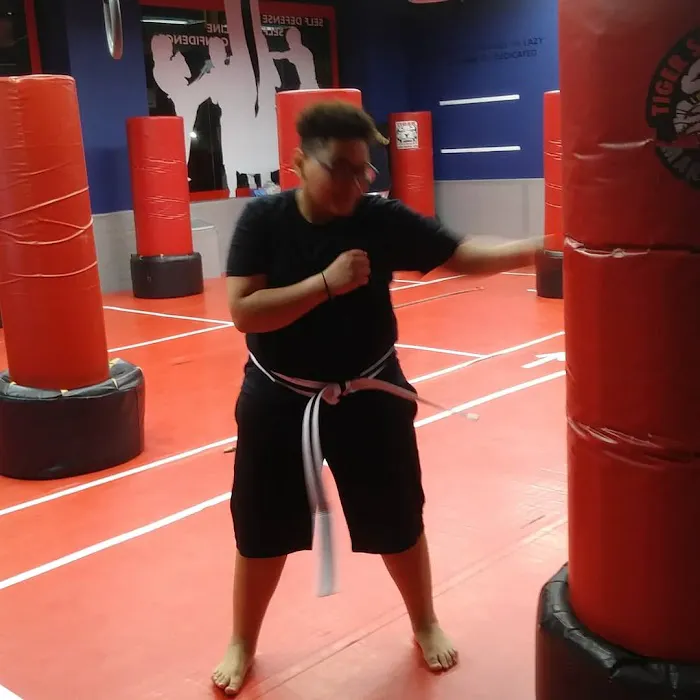 Tiger Schulmann's Martial Arts (Greenpoint, NY) Picture 6