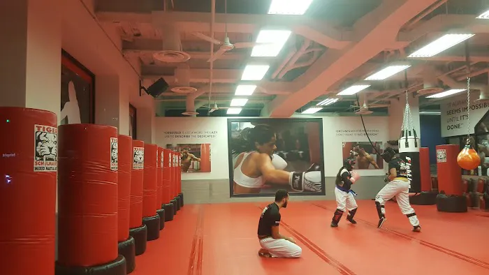 Tiger Schulmann's Martial Arts (Greenpoint, NY) Picture 5