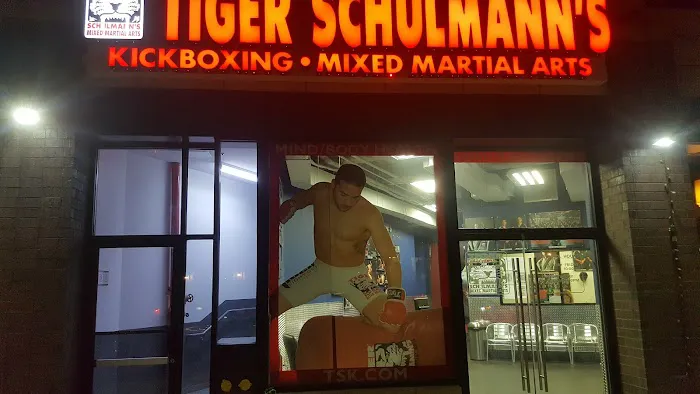 Tiger Schulmann's Martial Arts (Greenpoint, NY) Picture 8