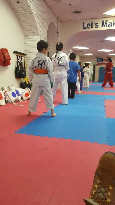 Tkk Taekwondo (Martial Arts) Picture 4