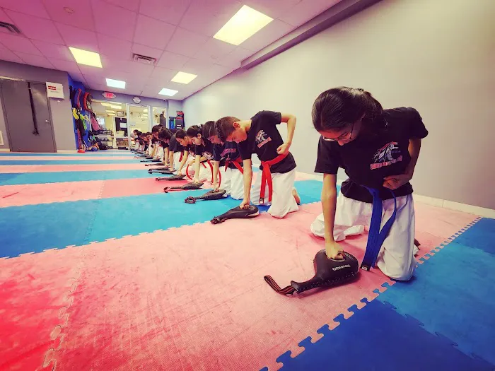 Secaucus Martial Arts Center Picture 9