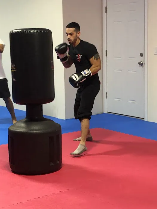 Valdez Institute Of Self Defense Picture 4