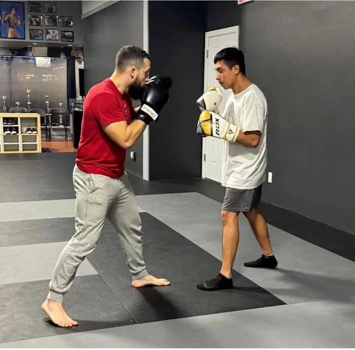 Valdez Institute Of Self Defense Picture 10