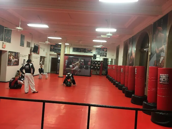 Tiger Schulmann's Martial Arts (Hoboken, NJ) Picture 3