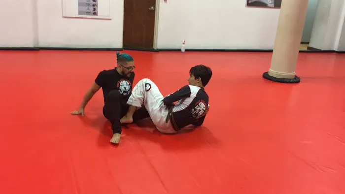 Tiger Schulmann's Martial Arts (Hoboken, NJ) Picture 1