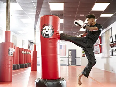 Tiger Schulmann's Martial Arts (Hoboken, NJ) Picture 8