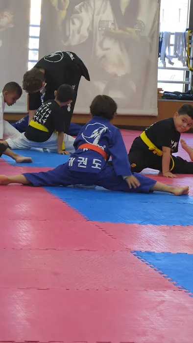 TKK Taekwondo (West New York) Picture 3