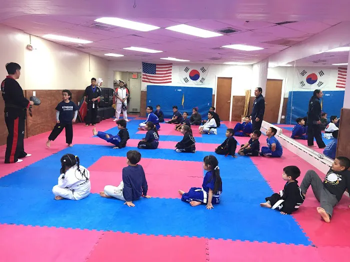 TKK Taekwondo (West New York) Picture 7