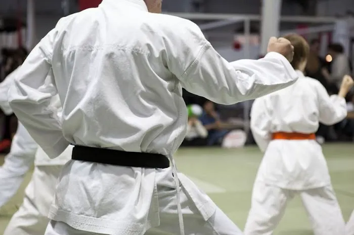 Universal Warrior Mixed Martial Arts Picture 4